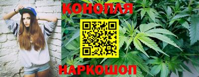 гидропоника Можга