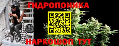 гидропоника Можга
