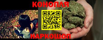 гидропоника Можга