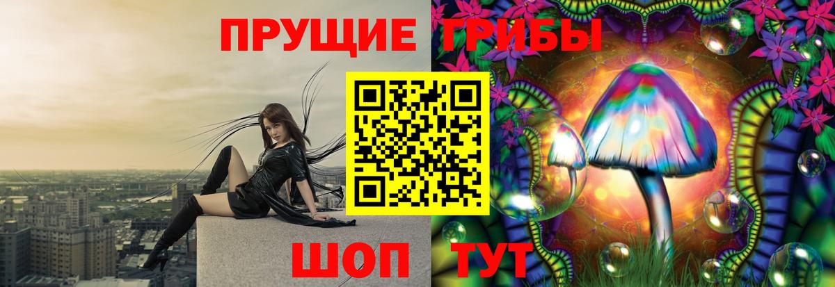 Псилоцибиновые грибы Cubensis  купить закладку  Торжок  Вход с VPN 